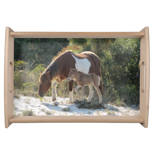 Cute Horse with Foal Photograph Serving Tray (Front)