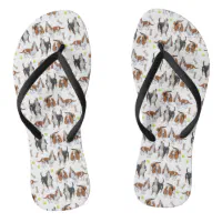 Hounds flip hot sale flops