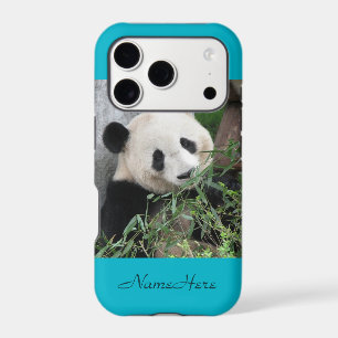 Cute Huggable Giant Panda Blue iPhone 17 Pro Case