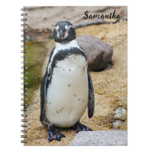 Cute Humboldt Penguin Spiral notebook