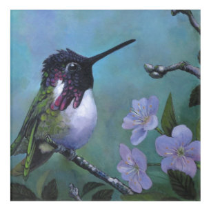 Cute Hummingbird wall design Blue Flowers branch Acrylic Print