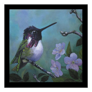 Cute Hummingbird wall design Blue Flowers branch Poster