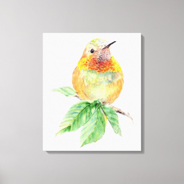 Cute Hummingbird Watercolor Painting Wildlife Art Canvas Print (Front)