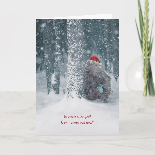 Cute humorous 2020 porcupine holiday card (Front)
