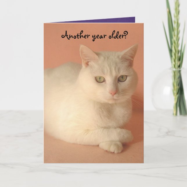 Cute, Humorous Female Birthday Card (Front)