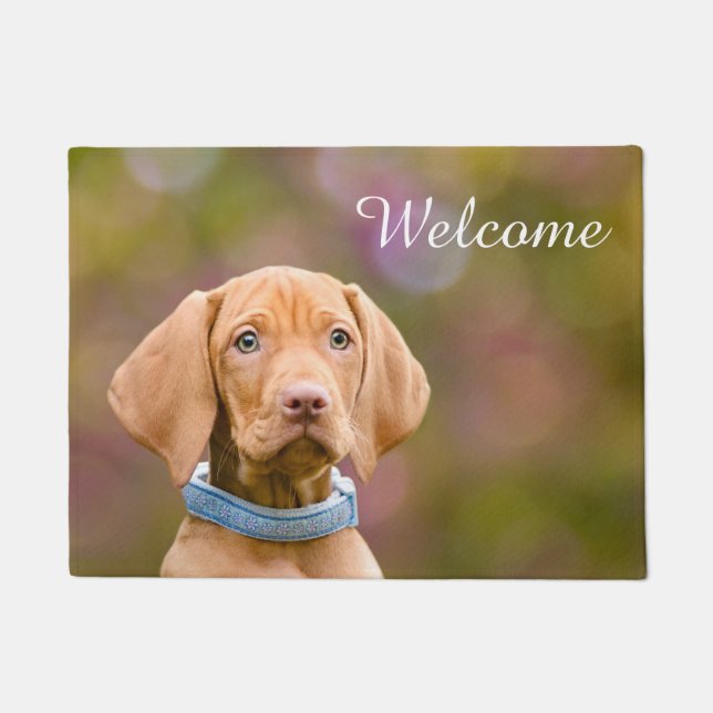 Cute Hungarian Vizsla Dog Puppy Photo _ Welcome Doormat (Front)