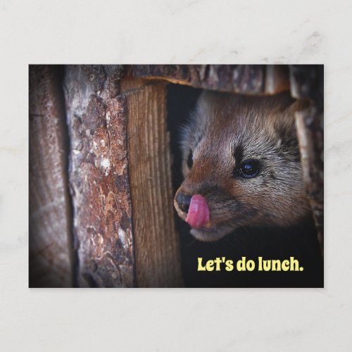 Cute Hungry Animal Marten _ Lets do lunch Postcard
