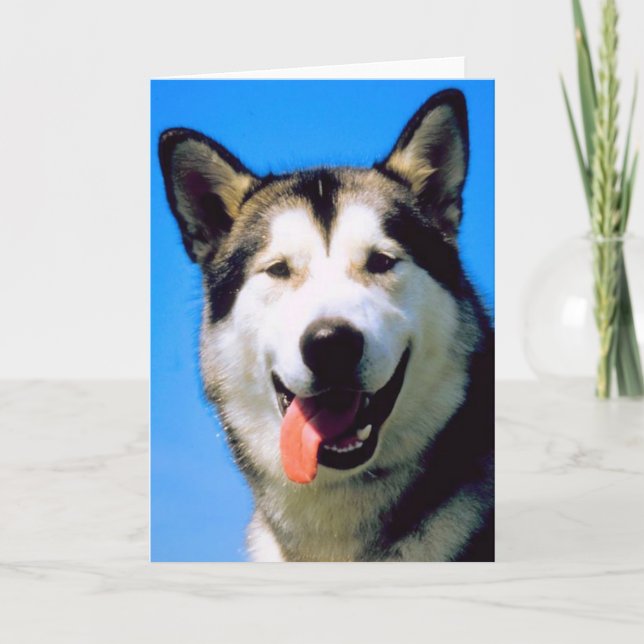 Cute husky dog photo customizable greeting card (Front)