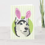 Cute Husky Dog With Easter Bunny Ears Happy Easter Holiday Card