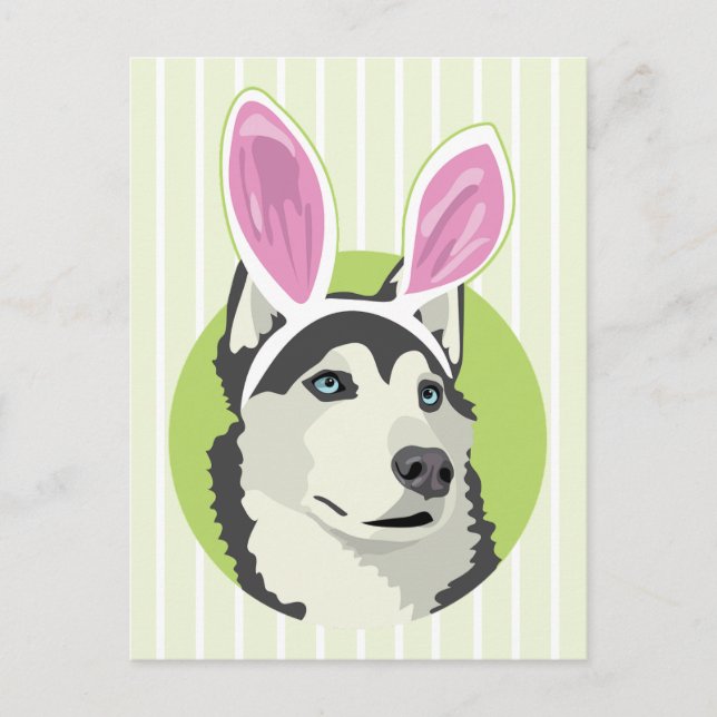 Cute Husky Dog With Easter Bunny Ears  Holiday Postcard (Front)