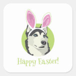 Cute Husky Dog With Easter Bunny Ears Square Sticker