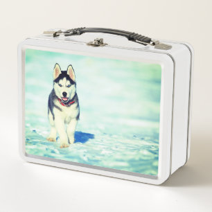 Cute Husky Metal Lunch Box