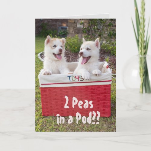 Cute Husky Puppies in Toys Basket Friendship Card