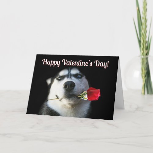 Cute Husky Rose Valentines Day Card