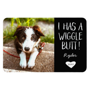 Cute "I Has a Wiggle Butt" Pet Photo   Black Magnet