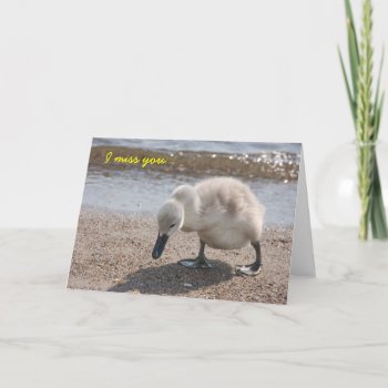 Cute "i Miss You" Card by pulsDesign at Zazzle