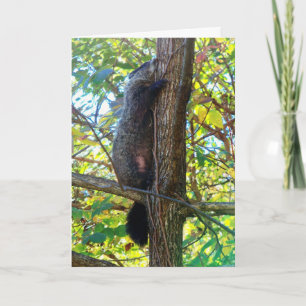 Cute I Miss You Greeting Card