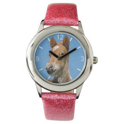 Cute Icelandic Horse Foal Pony Head - dial-plate Wristwatch