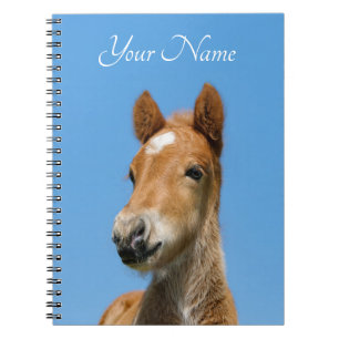 Cute Icelandic Horse Foal Pony Head Front - Name - Notebook