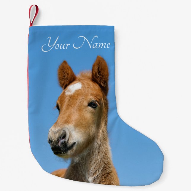 Cute Icelandic Horse Foal Pony Head Front - Name - Small Christmas Stocking (Front)