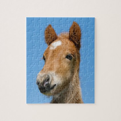 Cute Icelandic Horse Foal Pony Head Front Photo Jigsaw Puzzle