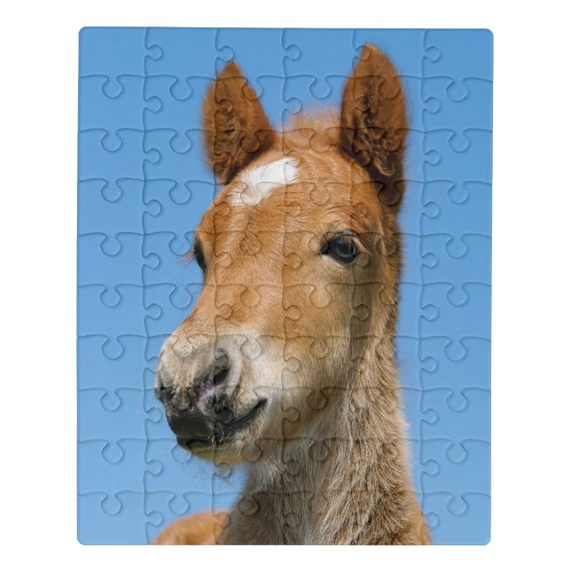 Cute Icelandic Horse Foal Pony Head Front Photo `` Jigsaw Puzzle (Puzzle Vertical)