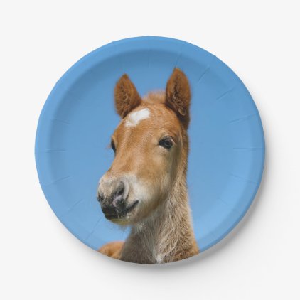 Cute Icelandic Horse Foal Pony Head Front Photo ,- Paper Plate