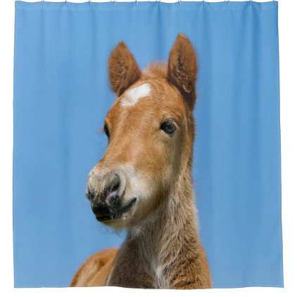 Cute Icelandic Horse Foal Pony Head Front Photo .. Shower Curtain