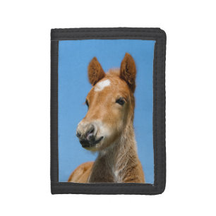 Cute Icelandic Horse Foal Pony Head Front Photo __ Trifold Wallet