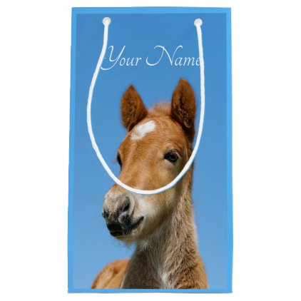 Cute Icelandic Horse Foal Pony Head Photo - Name / Small Gift Bag