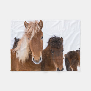 Cute Icelandic Horses Together Fleece Blanket