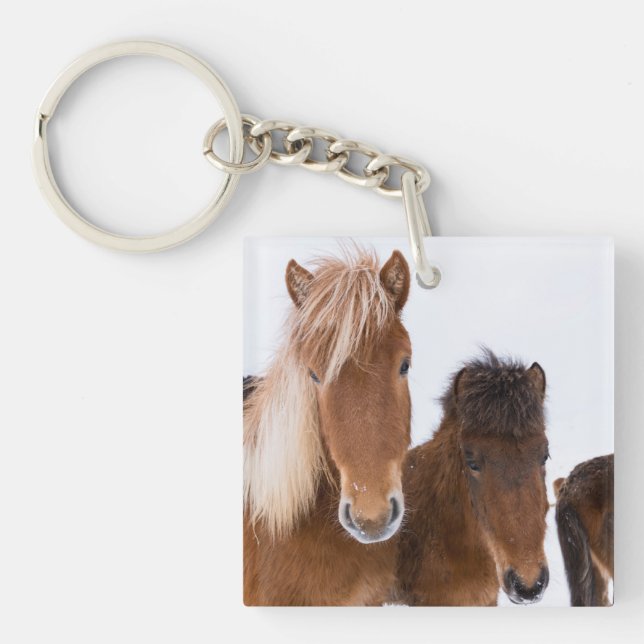 Cute Icelandic Horses Together Keychain (Front)