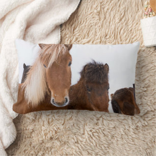 Cute Icelandic Horses Together Lumbar Pillow