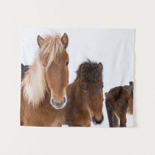 Cute Icelandic Horses Together Tapestry