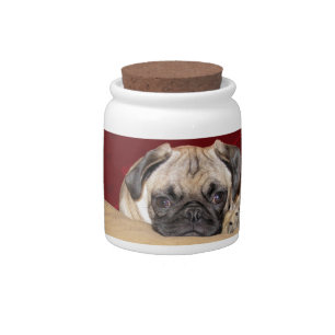 Cute iCuddle Pug Puppy Candy Jar