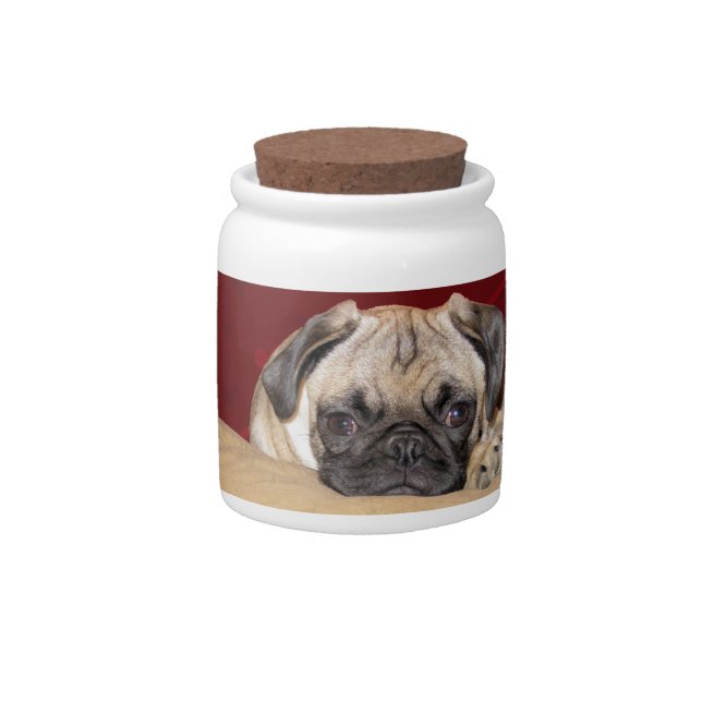 Cute iCuddle Pug Puppy Candy Jar (Front)