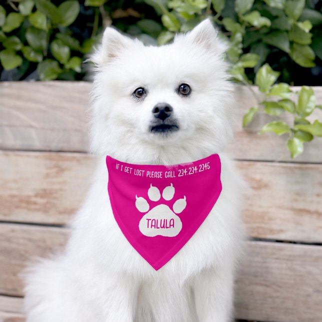 Cute Identity Personalized Cat or Dog's  Pet Bandana Collar (Dog)