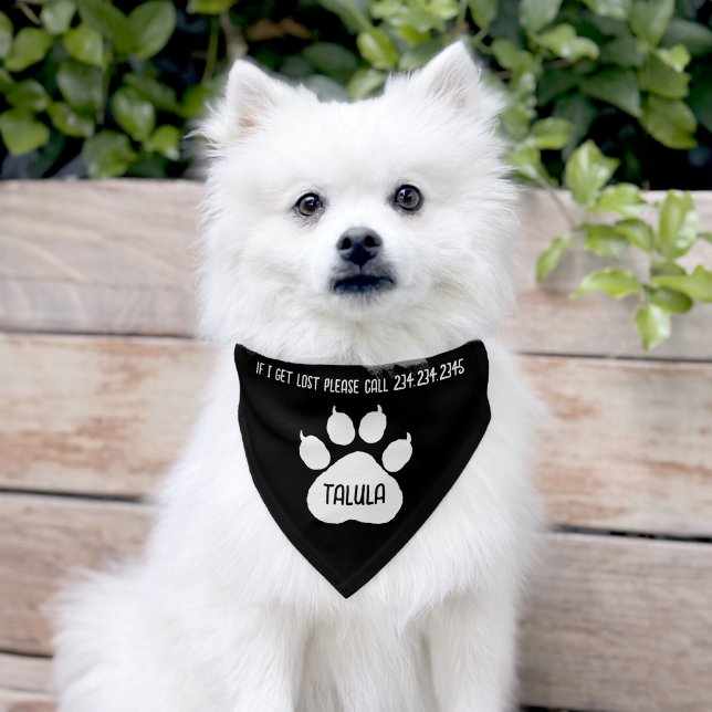 Cute Identity Personalized Cat or Dog's  Pet Bandana Collar (Dog)