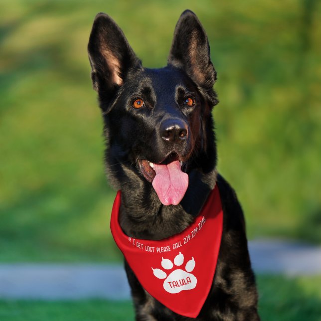 Cute Identity Personalized Cat or Dog's  Pet Bandana Collar (Dog)