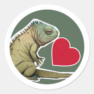 Cute Iguana Classic Round Sticker