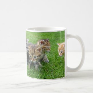 Cute Innocent Kittens Coffee Mug