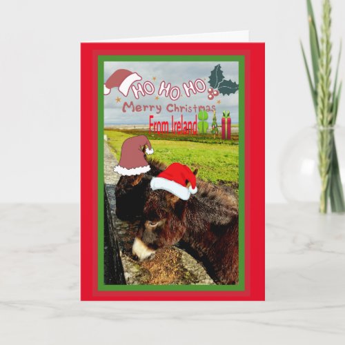 Cute Irish Santa Donkeys Christmas Card