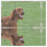 Cute Irish Setter Fabric