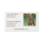 Cute Irish Terrier Business Card