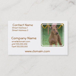 Cute Irish Terrier Business Card