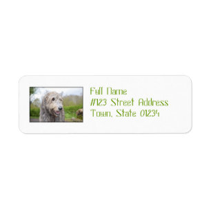 Cute Irish Wolfhound Label