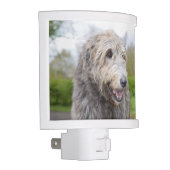 Cute Irish Wolfhound Night Light (Right)