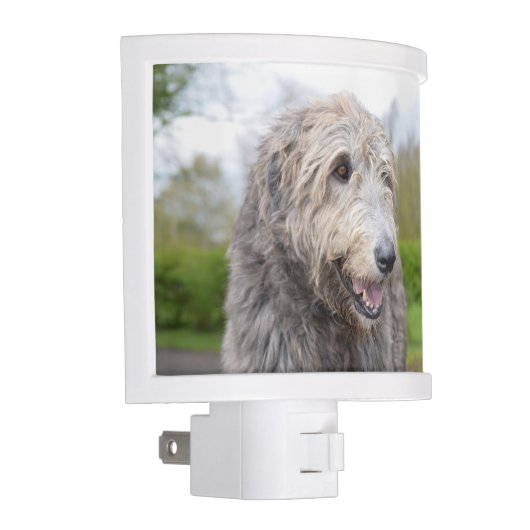 Cute Irish Wolfhound Night Light (Right)
