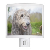 Cute Irish Wolfhound Night Light (Front)