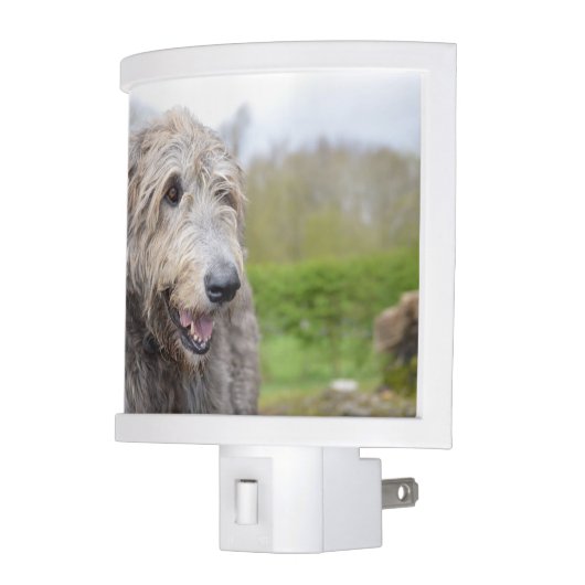 Cute Irish Wolfhound Night Light (Left)